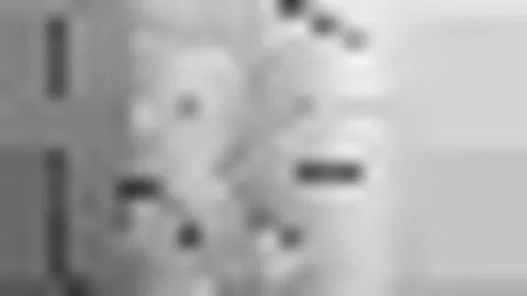 少年英雄惊艳WCBA全明星！郑薇指导点赞：不输职业球员！