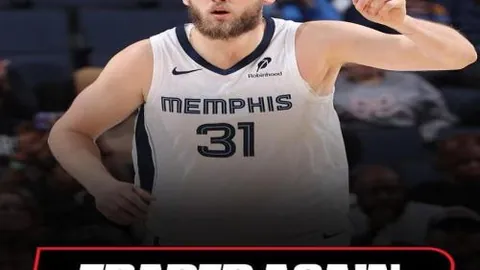 kaiyun·开云（中国）