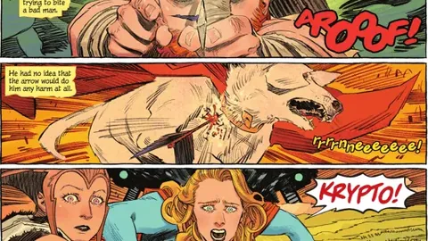 kaiyun·开云（中国）