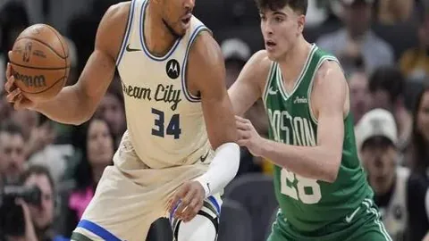 kaiyun·开云（中国）